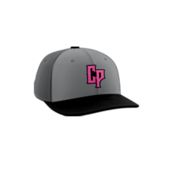 3858 R_P FLEX FIT CAP PTS30 CLOWN-PUNCHERS-1