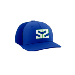 3685 R_P FLEX FIT CAP PTS30 S2-1
