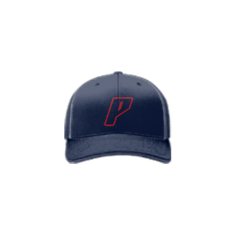 3317 R_P FLEX FIT CAP 172 MOV-PREMIER-1