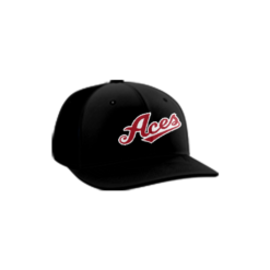 3150 R_P FLEX FIT CAP PTS30 LADY-ACES-1