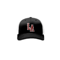 3850 R_P FLEX FIT CAP 172 LENS-AUTO-1
