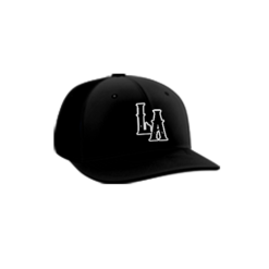 3850 R_P FLEX FIT CAP PTS30 LENS-AUTO-1