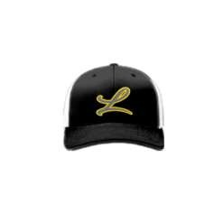 3849 R_P FLEX FIT CAP 172 LOUISIANA-TIGERS-1