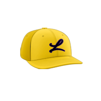 3849 R_P FLEX FIT CAP PTS30 LOUISIANA-TIGERS-1