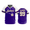 3849 MENS SPORT V NECK LOUISIANA-TIGERS-1