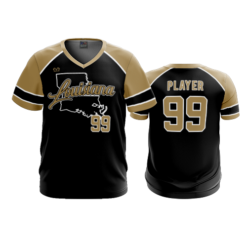 3849 MENS SPORT V NECK LOUISIANA-TIGERS-2