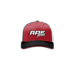 3861 R_P FLEX FIT CAP 172 APE-STICKS-1