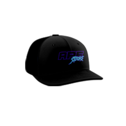 3861 R_P FLEX FIT CAP PTS30 APE-STICKS-1