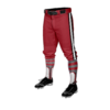 3861 MENS BASEBALL KNICKER PANT APE-STICKS-1