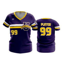 3840 WOMENS V NECK