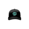 3874 R_P FLEX FIT CAP 172 COL-SHARKS-2023-1
