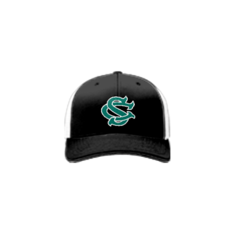 3874 R_P FLEX FIT CAP 172 COL-SHARKS-2023-1