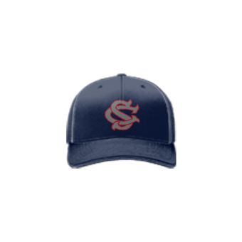 3874 R_P FLEX FIT CAP 172 COL-SHARKS-2023-2
