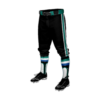 3874 MENS BASEBALL KNICKER PANT COL-SHARKS-2023-3