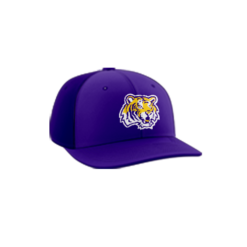 3884 R_P FLEX FIT CAP PTS30 MCCLAIN-BASEBALL-2024-1
