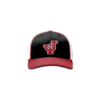 3878 R_P FLEX FIT CAP 172 JACKSON-BASEBALL-1