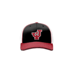 3878 R_P FLEX FIT CAP 172 JACKSON-BASEBALL-1