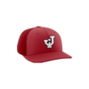 3878 R_P FLEX FIT CAP PTS30 JACKSON-BASEBALL-1