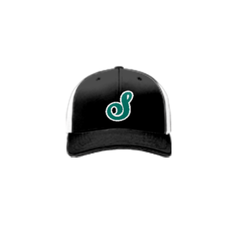 3874 R_P FLEX FIT CAP 172 COL-SHARKS-BASEBALL-2024-1