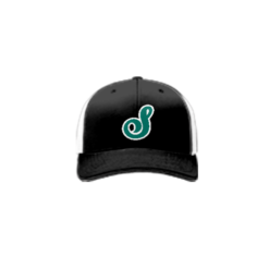 3880 R_P FLEX FIT CAP 172 COL-SHARKS-BASEBALL-2024-1