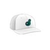 3874 R_P FLEX FIT CAP PTS30 COL-SHARKS-BASEBALL-2024-1