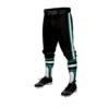 3880 MENS BASEBALL KNICKER PANT COL-SHARKS-BASEBALL-2024-1