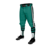 3874 MENS BASEBALL KNICKER PANT COL-SHARKS-BASEBALL-2024-2