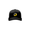 3630 R_P FLEX FIT CAP 172 DRAGONS-BASEBALL-1