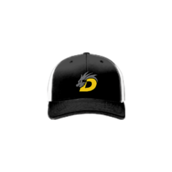 3630 R_P FLEX FIT CAP 172 DRAGONS-BASEBALL-1