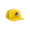 3630 R_P FLEX FIT CAP PTS30 DRAGONS-BASEBALL-1