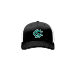 3887 R_P FLEX FIT CAP 172 SHARKS-CAMO-1