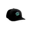 3887 R_P FLEX FIT CAP PTS30 SHARKS-CAMO-1