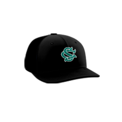 3887 R_P FLEX FIT CAP PTS30 SHARKS-CAMO-1