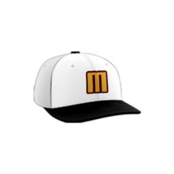 3890 R_P FLEX FIT CAP PTS30 MEIGS-MARAUDERS-1