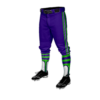 3870 MENS BASEBALL KNICKER PANT APPALACHIAN-MONSTERS-1