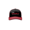3863 R_P FLEX FIT CAP 172 DUGOUT-1