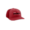 3863 R_P FLEX FIT CAP PTS30 DUGOUT-1