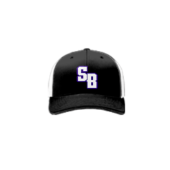 3832 R_P FLEX FIT CAP 172 SLINGSHOT-BANDITS-1