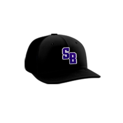 3832 R_P FLEX FIT CAP PTS30 SLINGSHOT-BANDITS-1
