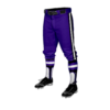 3871 MENS BASEBALL KNICKER PANT PSYCHOS-1