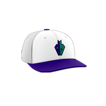 3879 R_P FLEX FIT CAP PTS30 DROPPIN-BOMBS-1