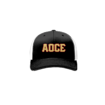 3877 R_P FLEX FIT CAP 172 AOCE-1