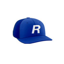 3420 R_P FLEX FIT CAP PTS30 REGENERON-1