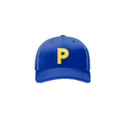 3882 R_P FLEX FIT CAP 172 MAYSVILLE-PANTHERS-1