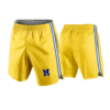 3882 MENS MIRCO FIBER 160gsm SHORT MAYSVILLE-PANTHERS-2