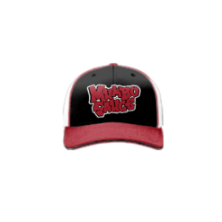 3883 R_P FLEX FIT CAP 172 MUMBO-SAUCE-1