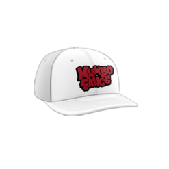 3883 R_P FLEX FIT CAP PTS30 MUMBO-SAUCE-1
