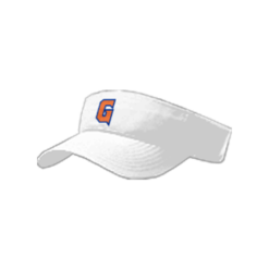3825 RICHARDSON R160 VISOR GUAYNABO-METS-ADDS