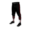 2701 MENS BASEBALL KNICKER PANT MOOSE-2024-1