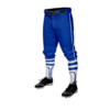 3719 MENS BASEBALL KNICKER PANT CHILLICOTHE-THUNDER-1